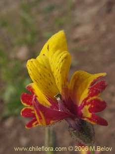 See more details and purchase options...