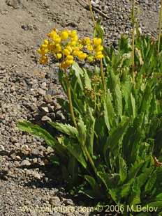 See more details and purchase options...