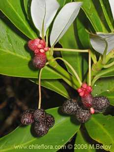 See more details and purchase options...