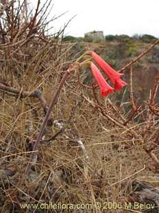 See more details and purchase options...