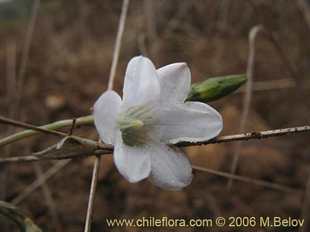 关于这个商品看更多资料和购买别的数量