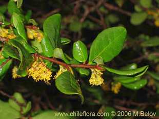 关于这个商品看更多资料和购买别的数量