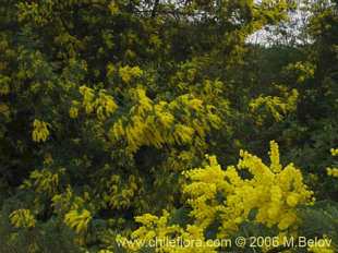 See more details and purchase options...