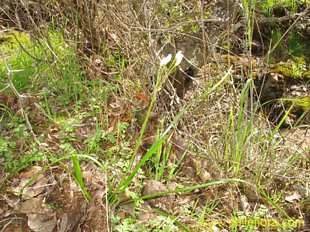 关于这个商品看更多资料和购买别的数量