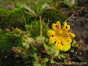 See more details and purchase options...