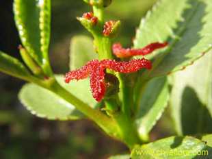 See more details and purchase options...