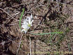 关于这个商品看更多资料和购买别的数量