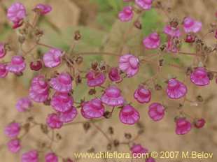 See more details and purchase options...