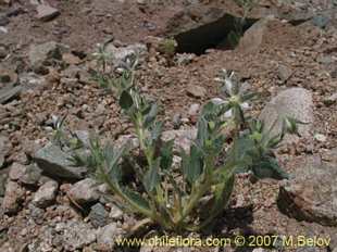 See more details and purchase options...