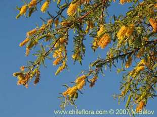 See more details and purchase options...