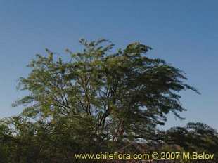 See more details and purchase options...