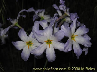 关于这个商品看更多资料和购买别的数量