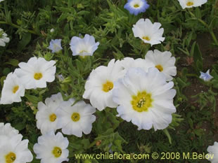 See more details and purchase options...