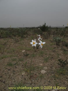 关于这个商品看更多资料和购买别的数量