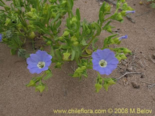 See more details and purchase options...