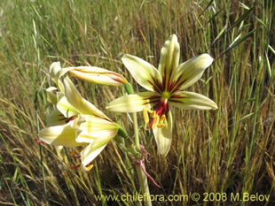 关于这个商品看更多资料和购买别的数量