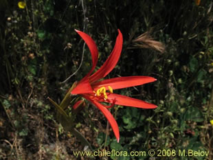 See more details and purchase options...