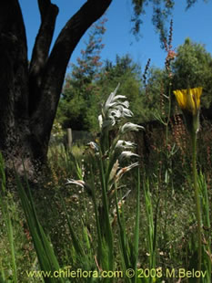 See more details and purchase options...