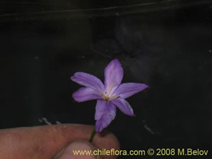 关于这个商品看更多资料和购买别的数量