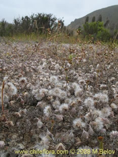 See more details and purchase options...