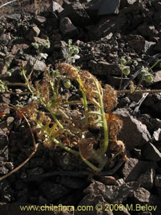 See more details and purchase options...