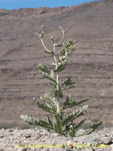 See more details and purchase options...