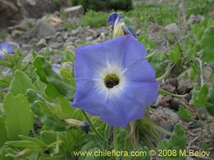 See more details and purchase options...