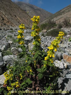 See more details and purchase options...