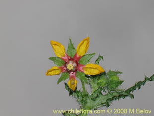 See more details and purchase options...