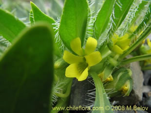 See more details and purchase options...