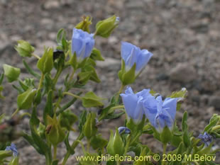 See more details and purchase options...