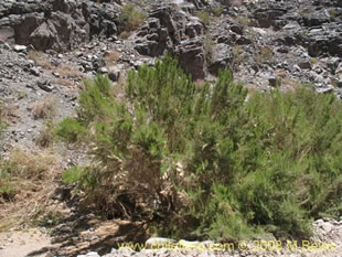 关于这个商品看更多资料和购买别的数量