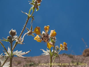 See more details and purchase options...