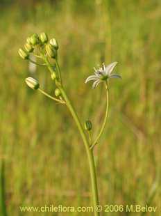 关于这个商品看更多资料和购买别的数量