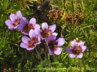 关于这个商品看更多资料和购买别的数量