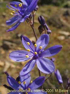 See more details and purchase options...