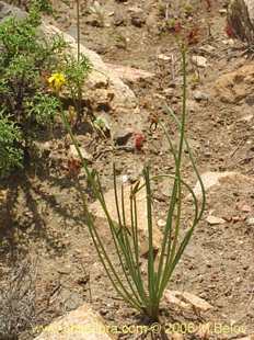 See more details and purchase options...