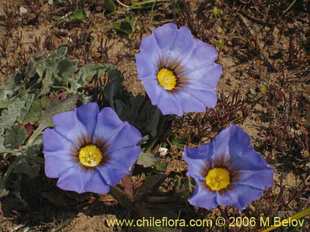 See more details and purchase options...