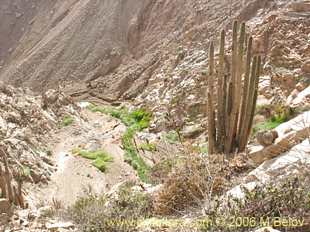 关于这个商品看更多资料和购买别的数量