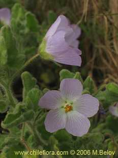 See more details and purchase options...