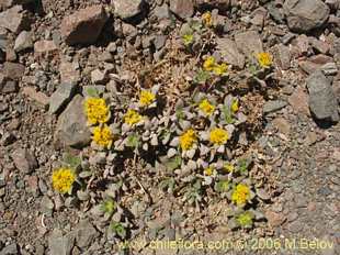 See more details and purchase options...