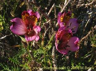 关于这个商品看更多资料和购买别的数量