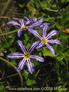 See more details and purchase options...