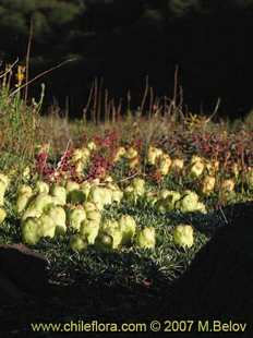 See more details and purchase options...