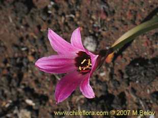 See more details and purchase options...