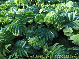 关于这个商品看更多资料和购买别的数量