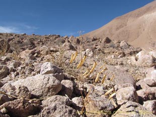 See more details and purchase options...