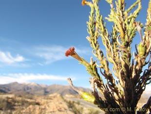 See more details and purchase options...