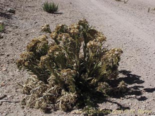 See more details and purchase options...