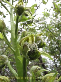 See more details and purchase options...